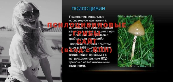 МДПВ Касимов
