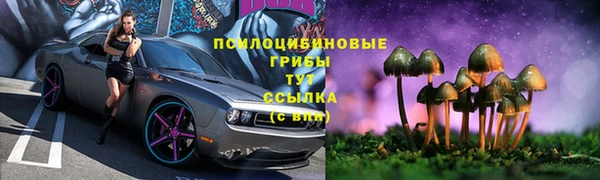 МДПВ Касимов