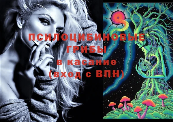 МДПВ Касимов