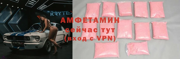 прущие грибы Карпинск