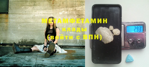 прущие грибы Карпинск