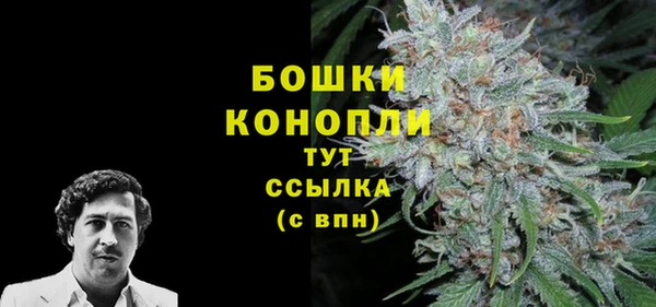 прущие грибы Карпинск