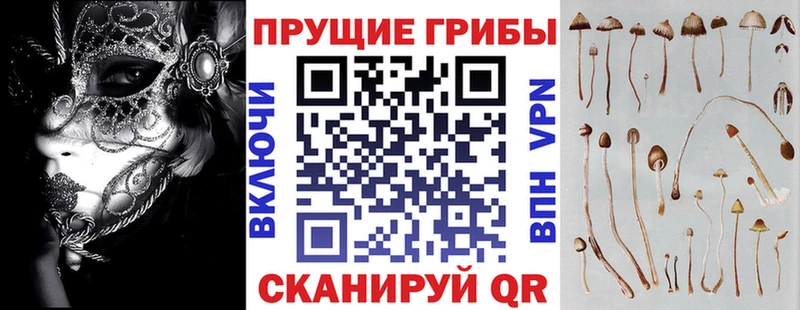 Галлюциногенные грибы GOLDEN TEACHER  Называевск 